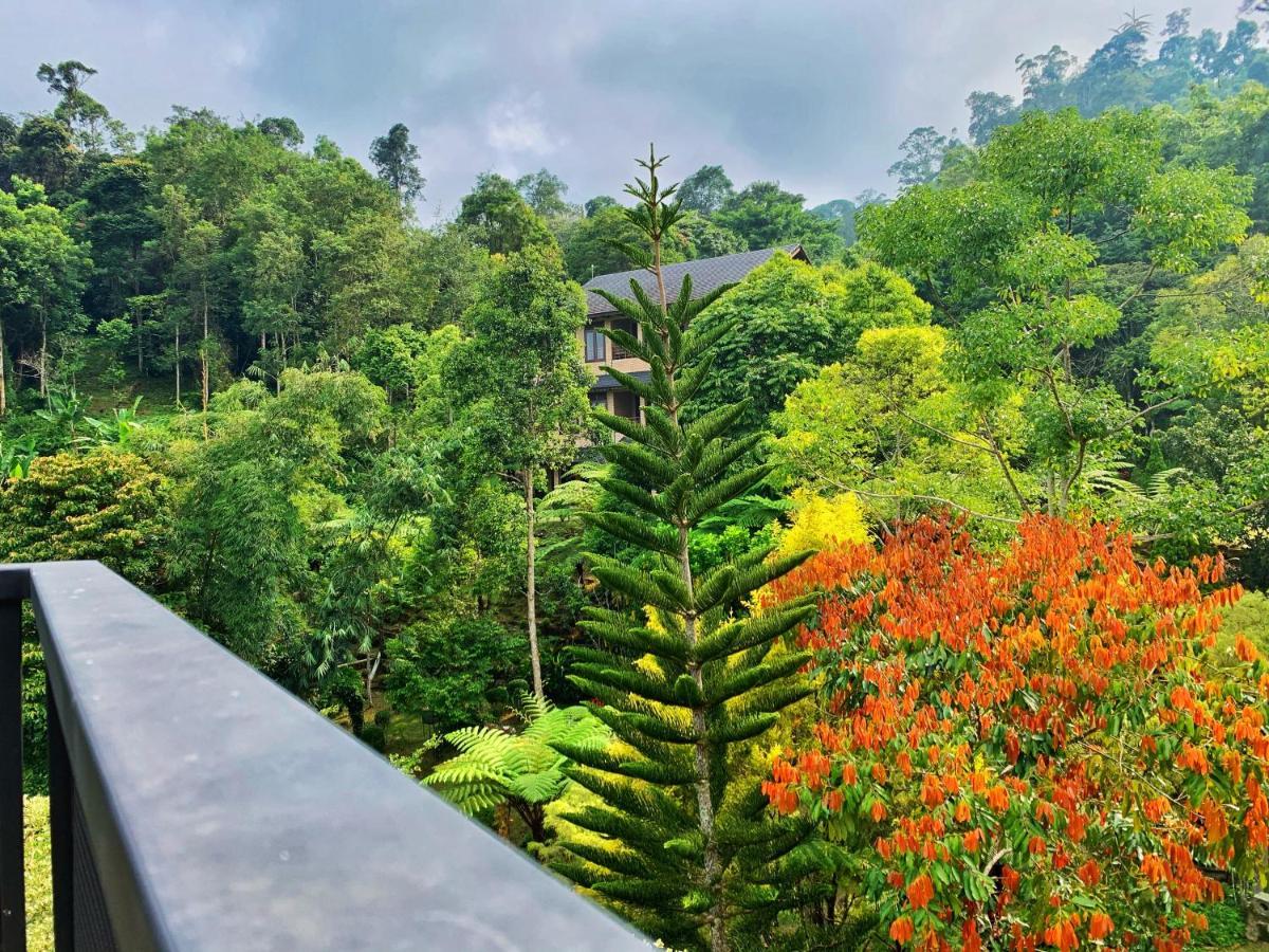 Harmony Valley Retreat Bukit Tinggi Bagian luar foto