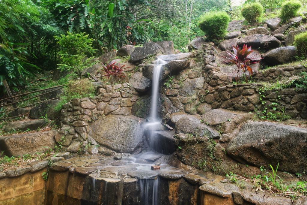Harmony Valley Retreat Bukit Tinggi Bagian luar foto