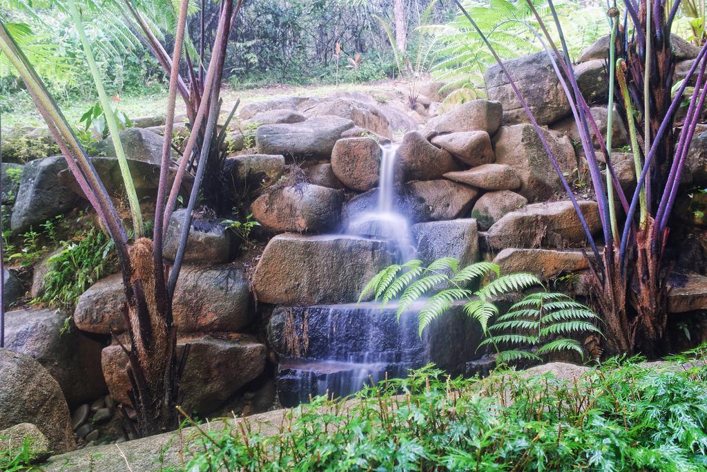 Harmony Valley Retreat Bukit Tinggi Bagian luar foto