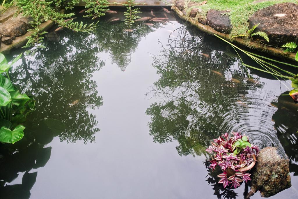 Harmony Valley Retreat Bukit Tinggi Bagian luar foto